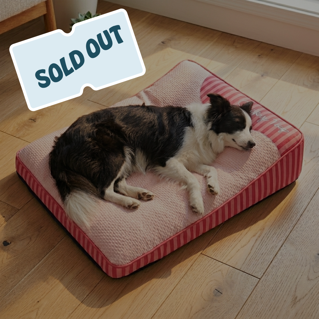 Remzyy™ Ice Crystal Cooling Cushion
