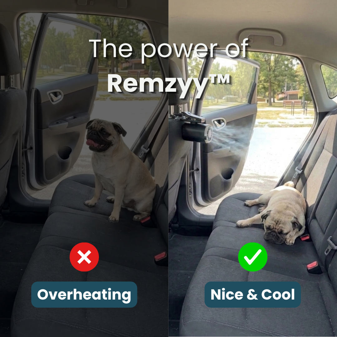 Remzyy ArcticAir™ Dog Fan