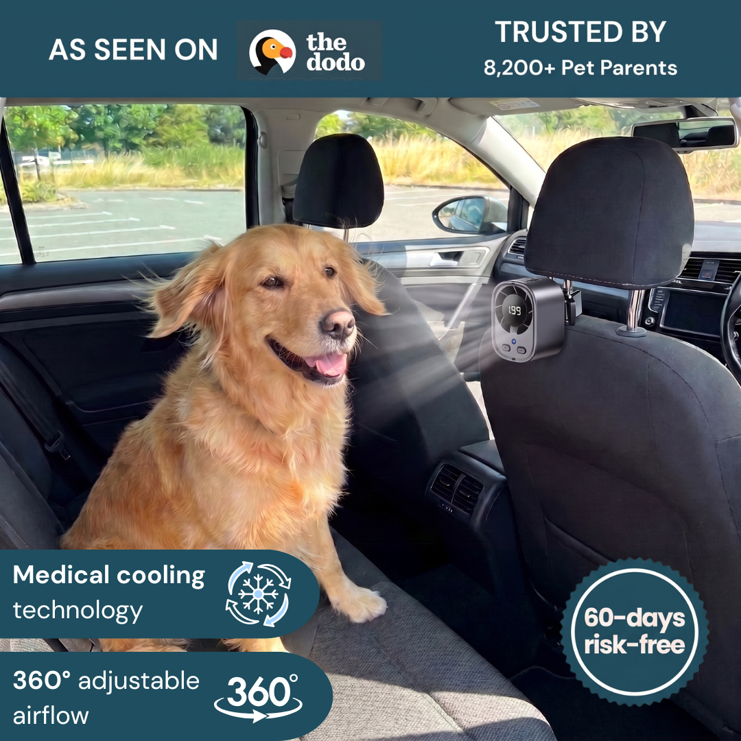 Remzyy ArcticAir™ Dog Fan