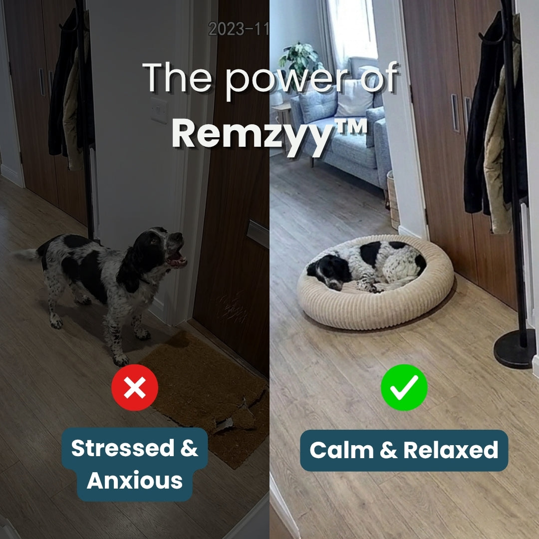 Remzyy™ Pheromone-Calming Dog Bed