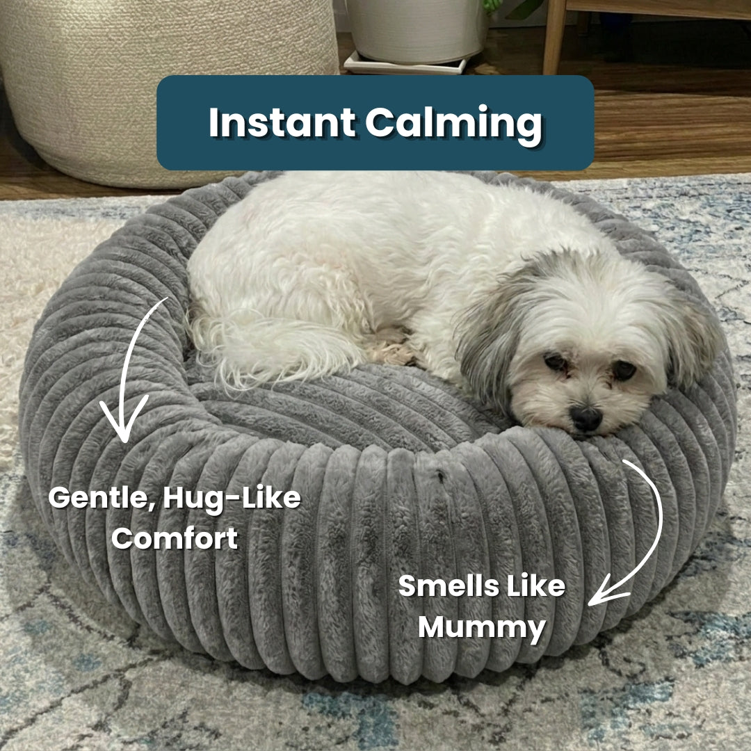 Remzyy™ Pheromone-Calming Dog Bed