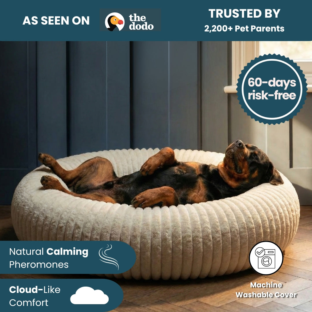 Remzyy™ Pheromone-Calming Dog Bed