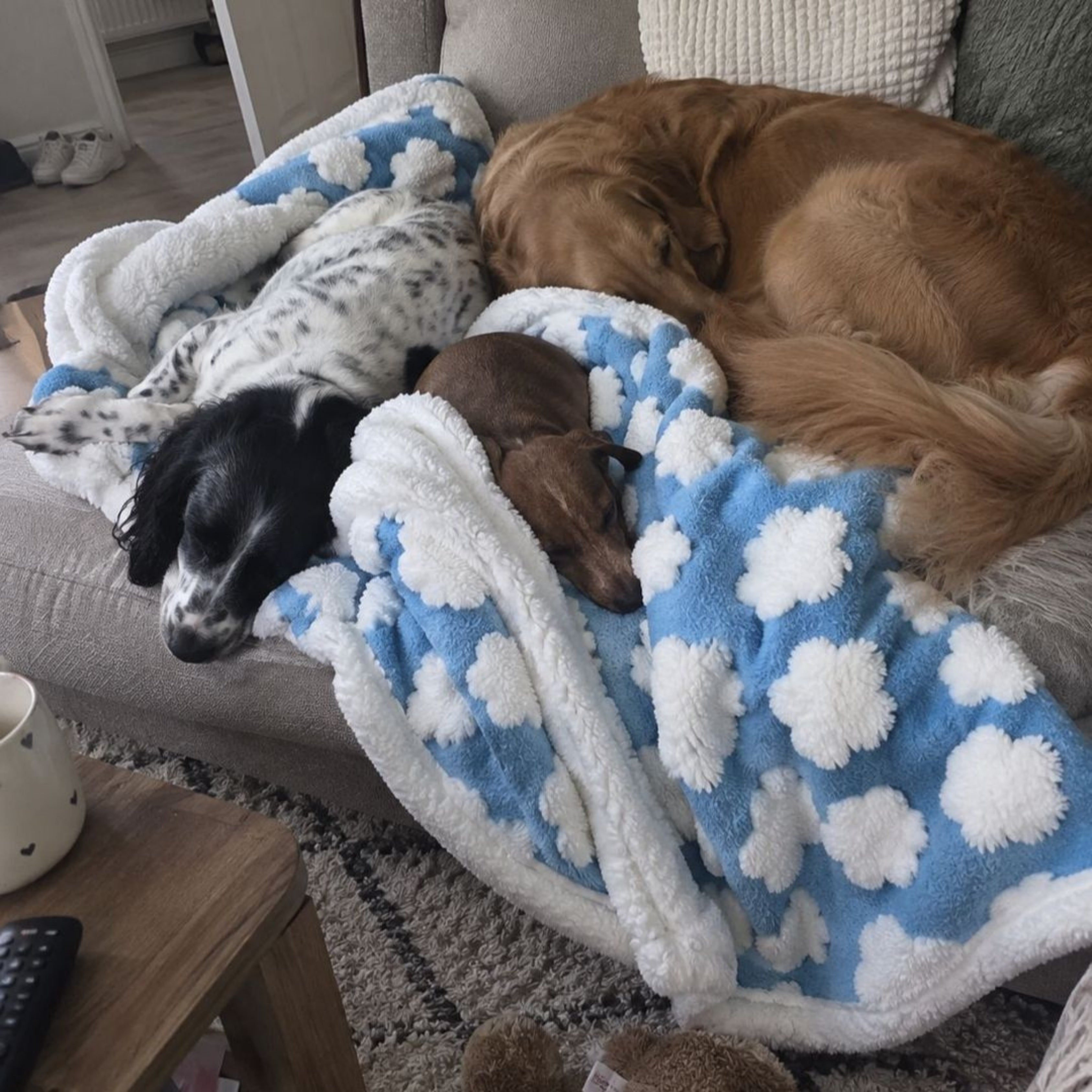 Remzyy™ 3-in-1 Calming Blanket