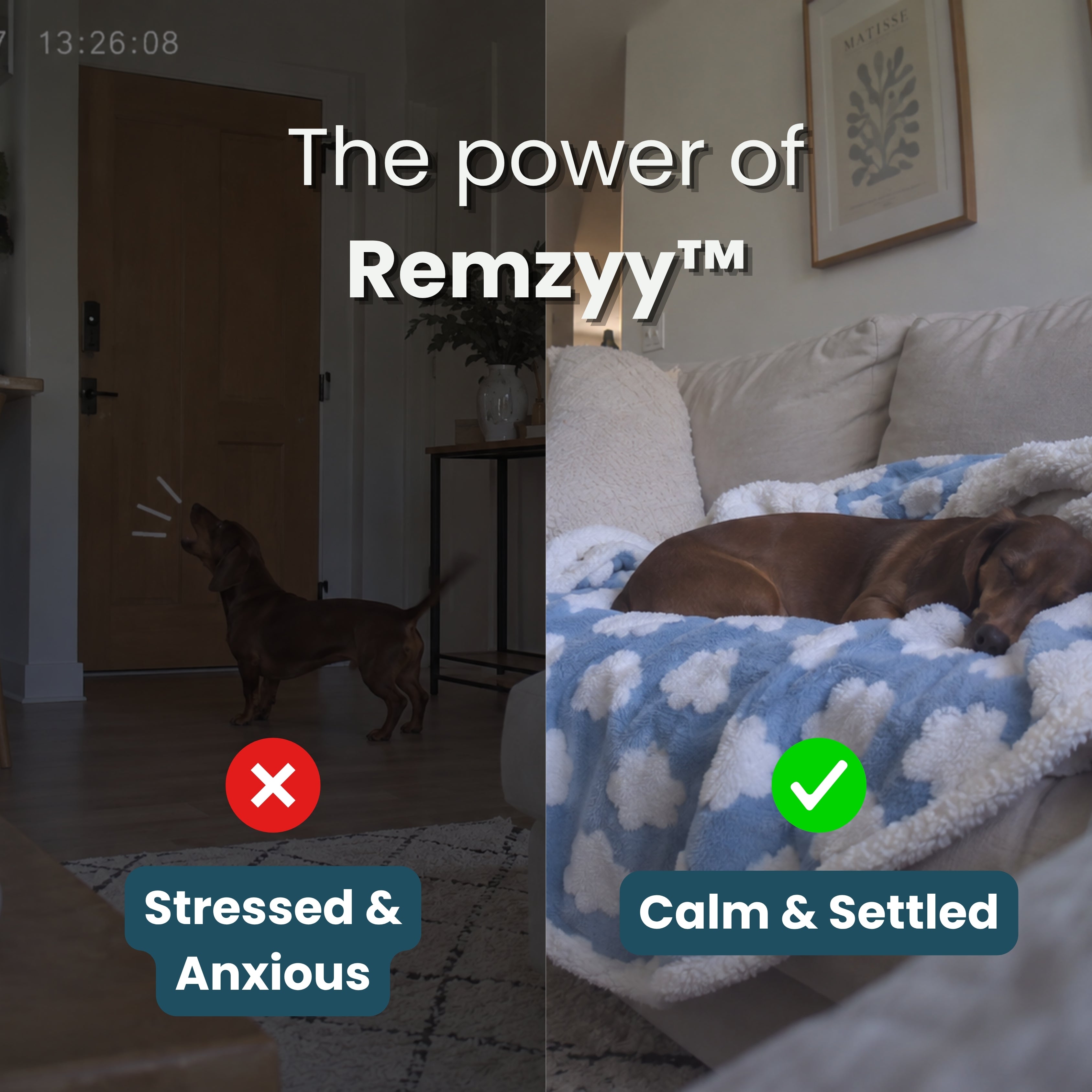 Remzyy™ 3-in-1 Calming Blanket