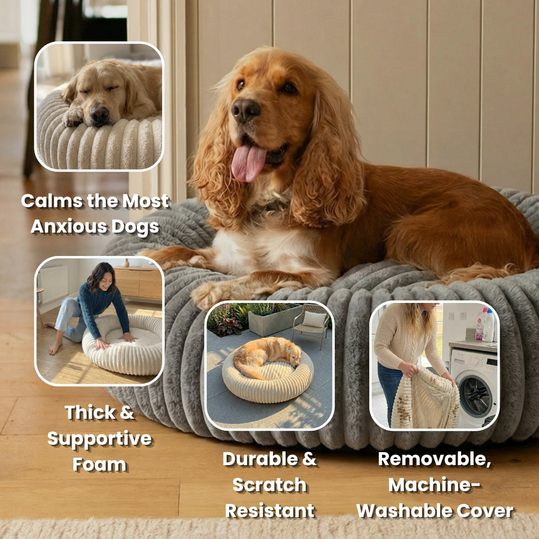 Remzyy™ Pheromone-Calming Dog Bed