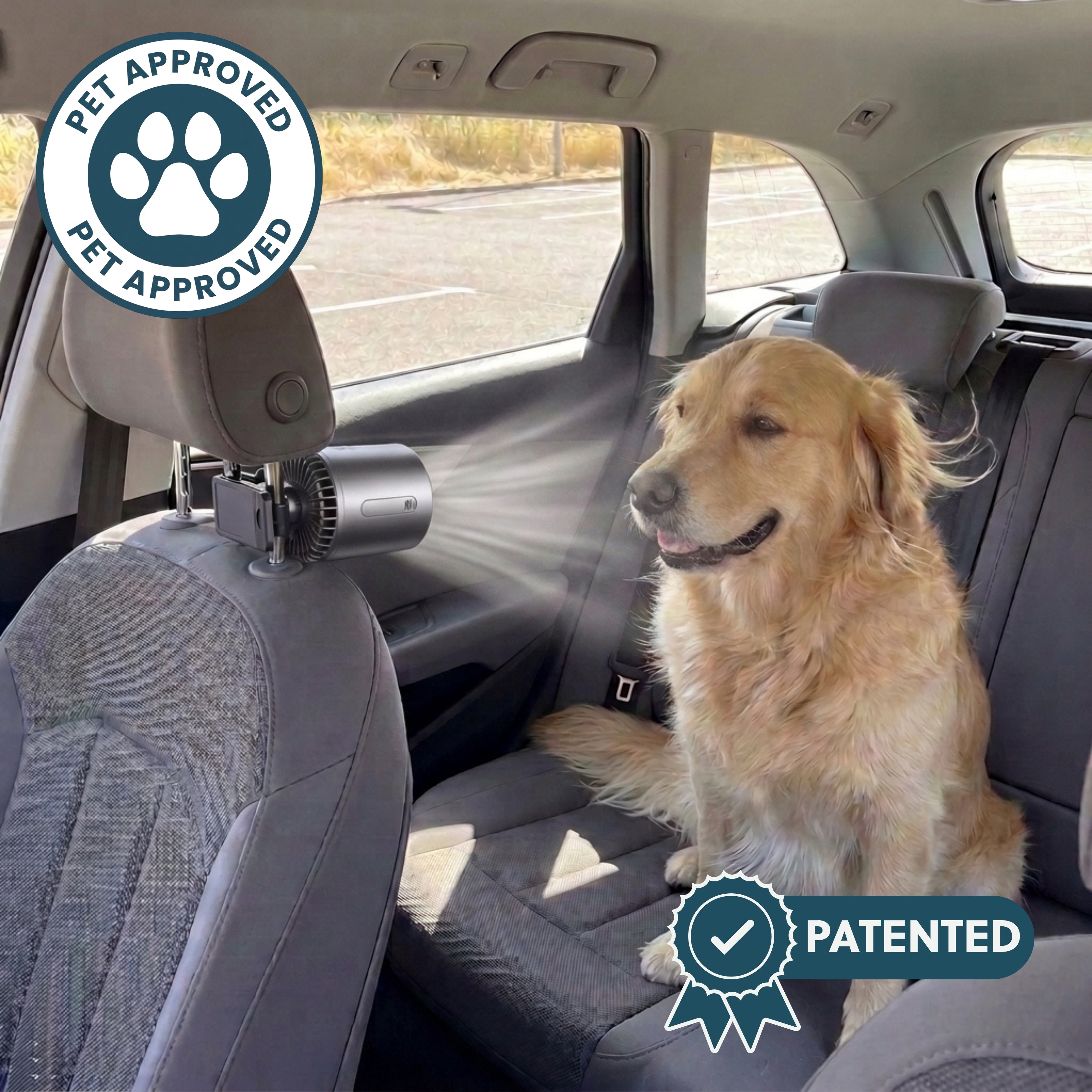 (NEW) Remzyy™ PolarBlast 2.0 Dog Fan
