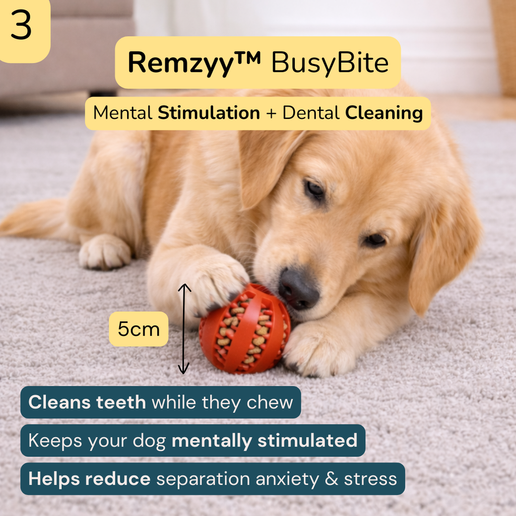 Remzyy™  Smart Toy Bundle