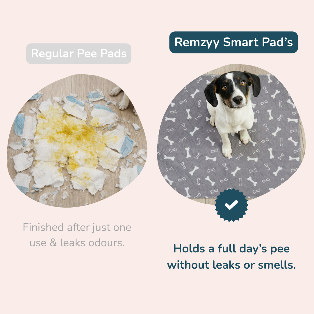 Remzyy Smart Pad