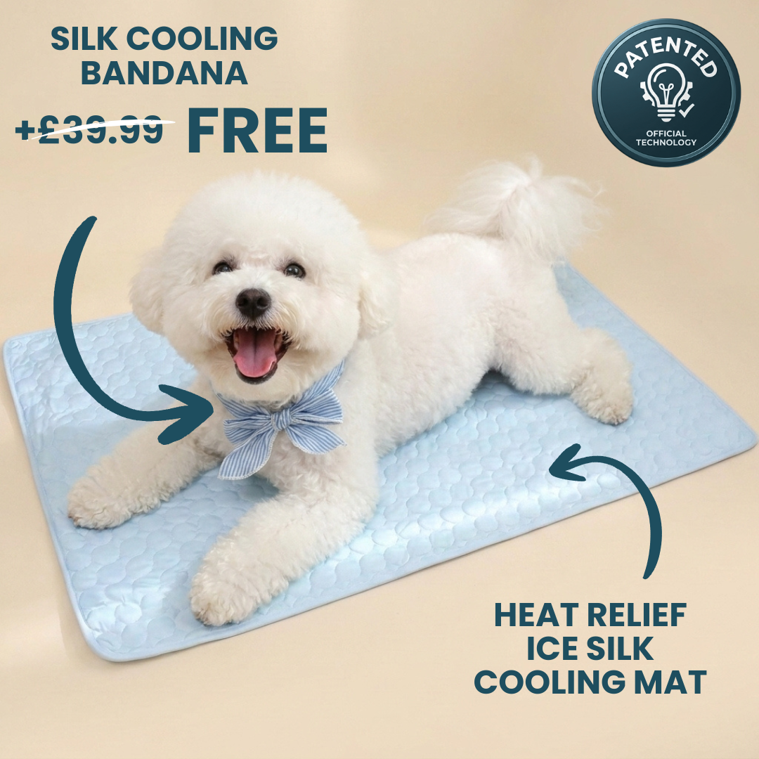 Remzyy™ Ice silk cooling kit (1+1)