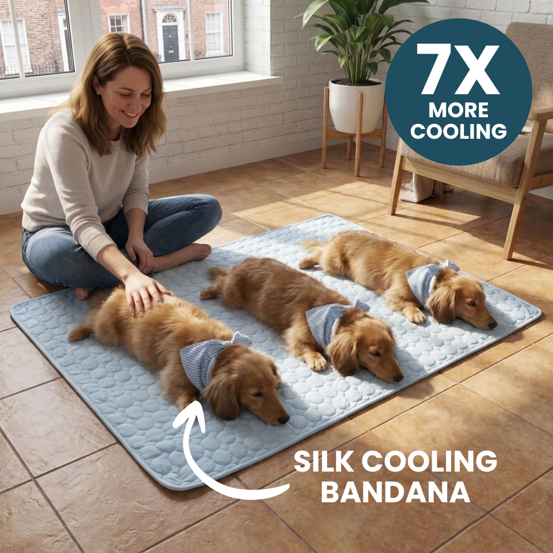 Remzyy™ Ice silk cooling kit (1+1)