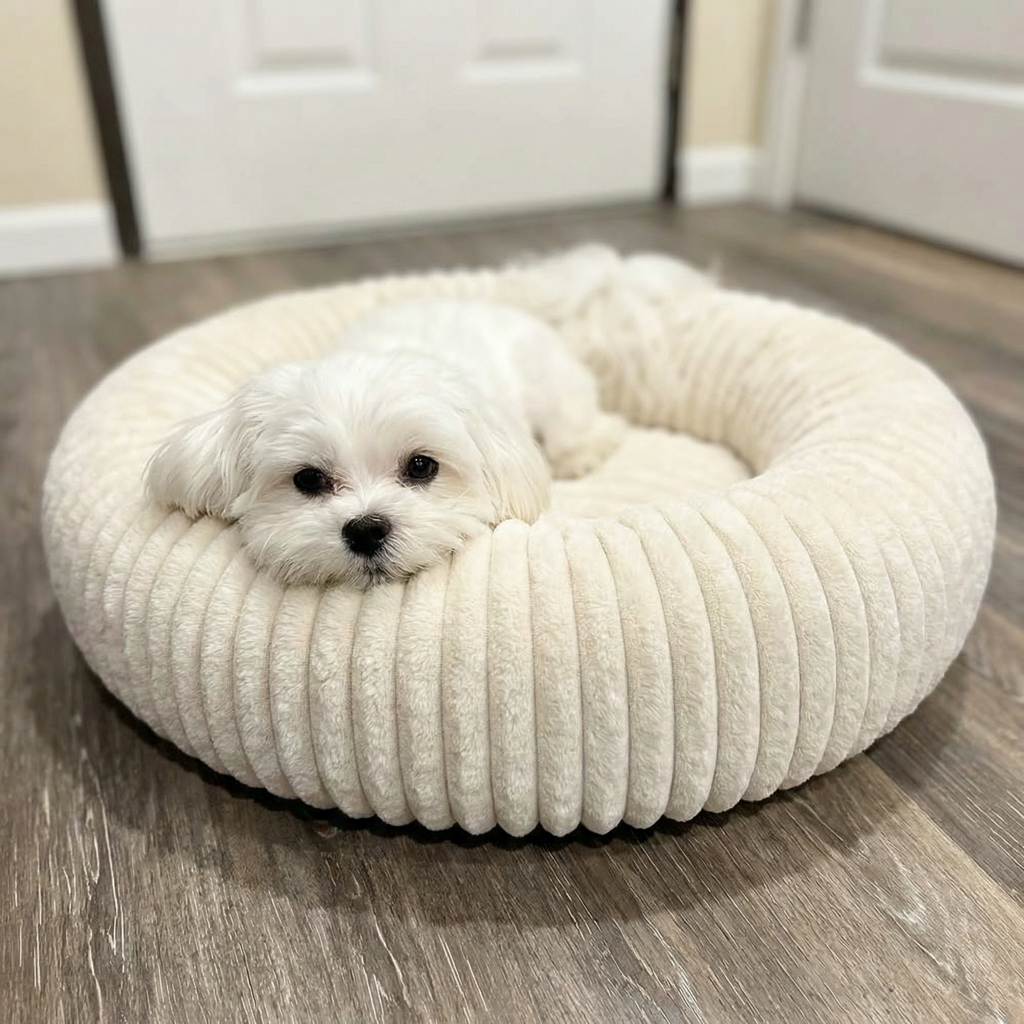 Remzyy™ Pheromone Calming Dog Bed