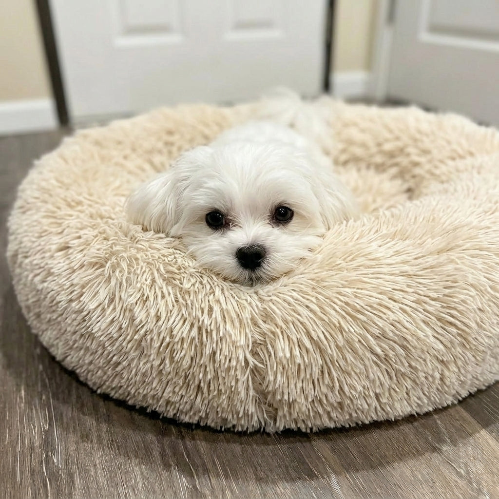 Remzyy™ Pheromone-Calming Donut