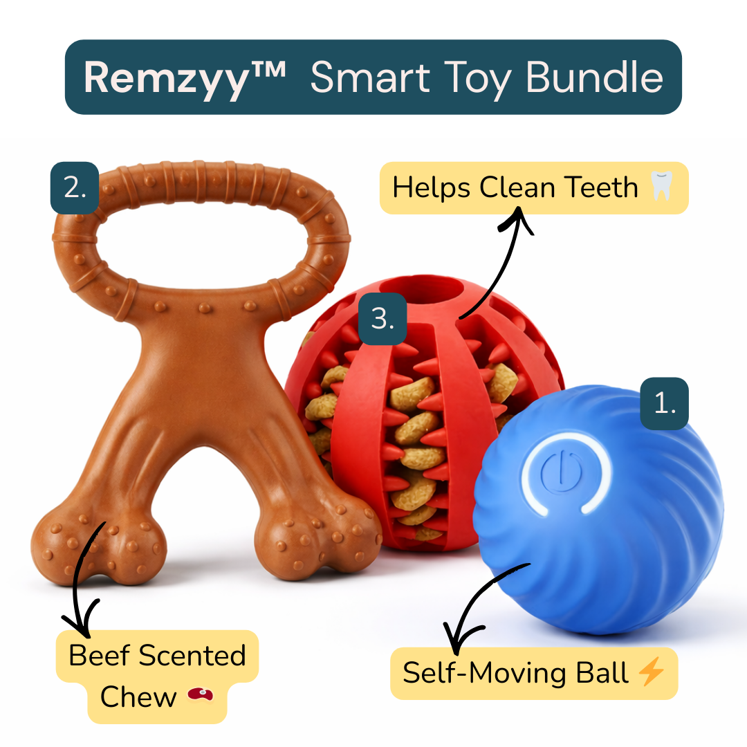 Remzyy™  Smart Toy Bundle