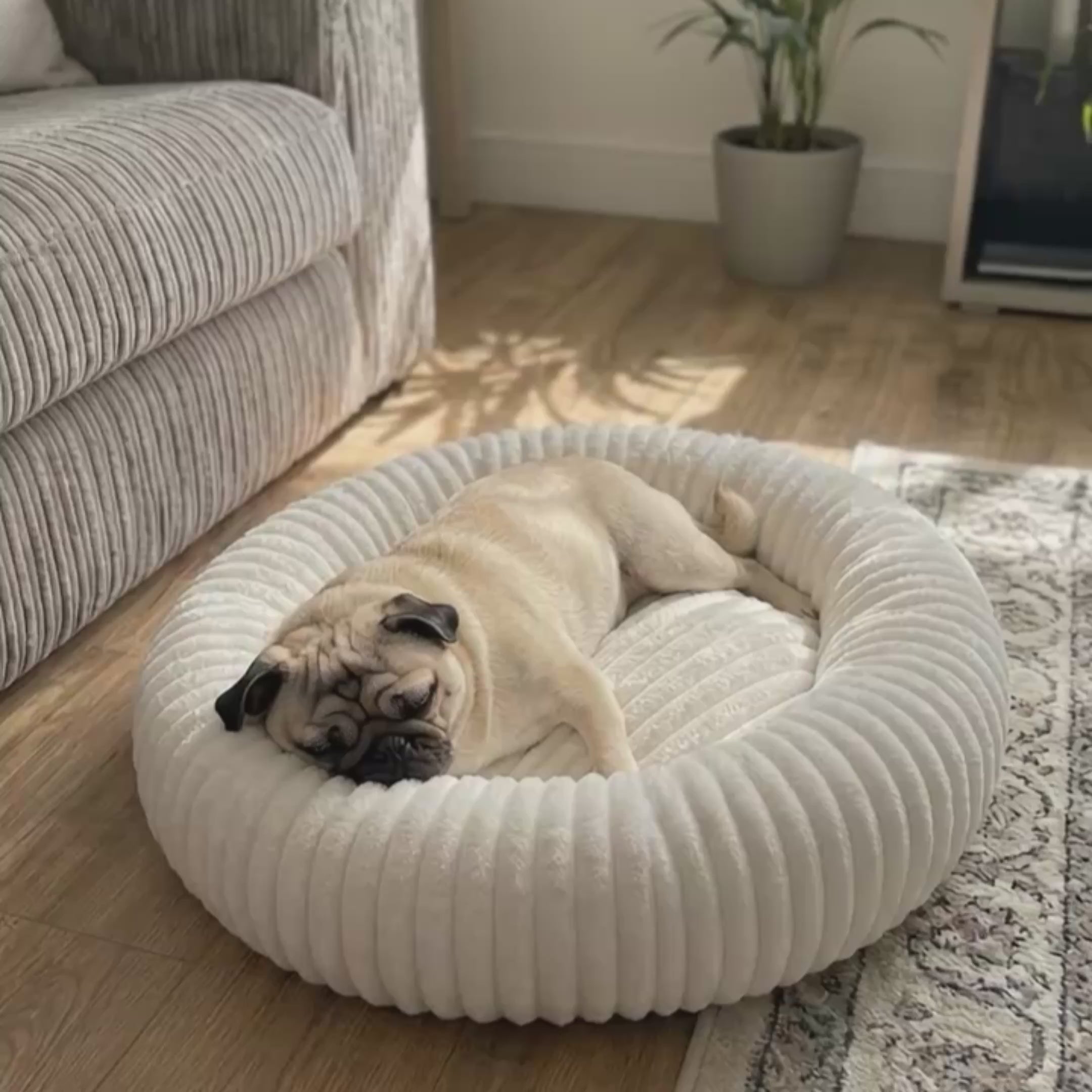 Remzyy™ Pheromone-Calming Dog Bed