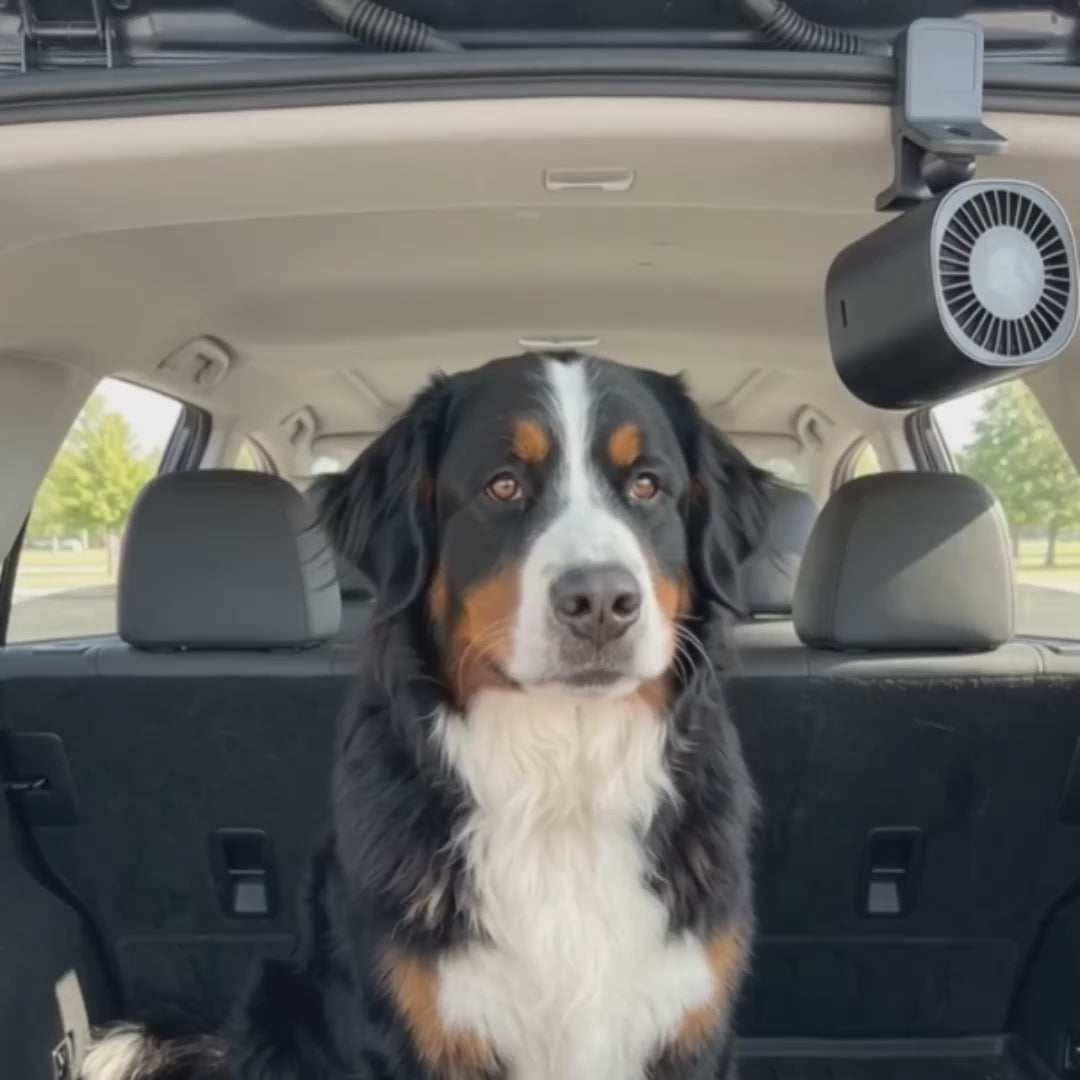 Remzyy ArcticAir™ Dog Fan