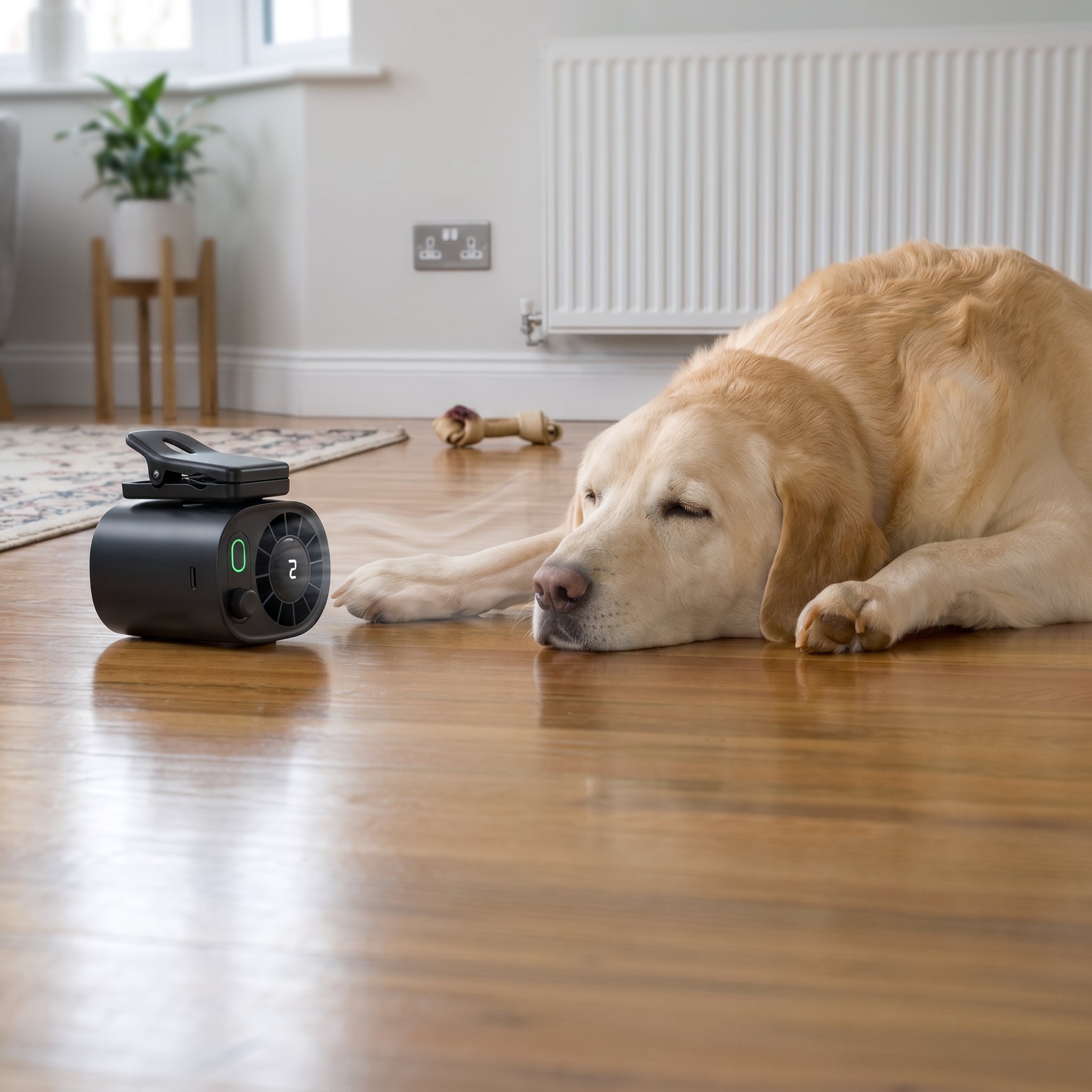 Remzyy ArcticAir™ Dog Fan